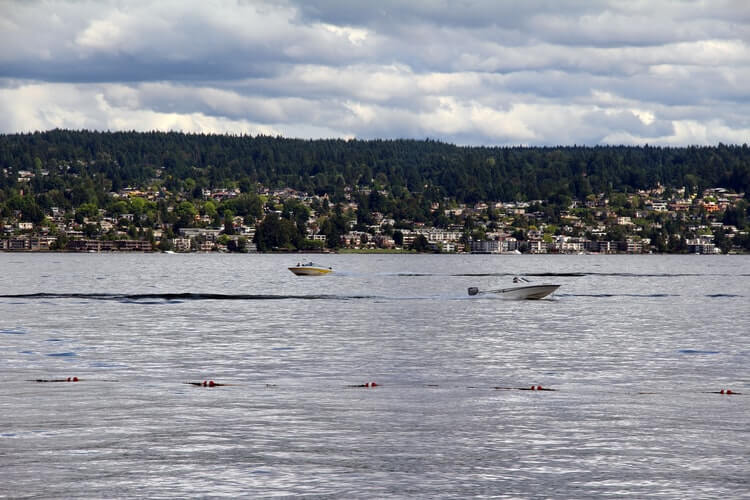 Lake Washington is a great destination for a day trip.