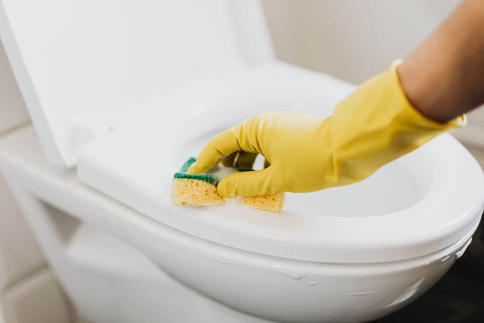 A person cleaning a toilet seat