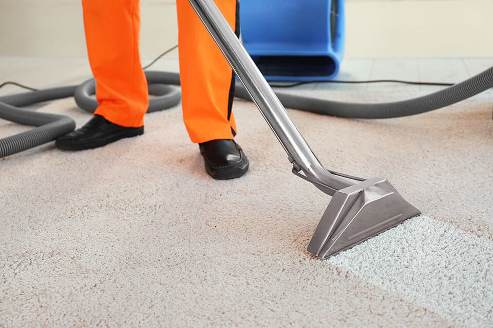 A professional cleaning a rug