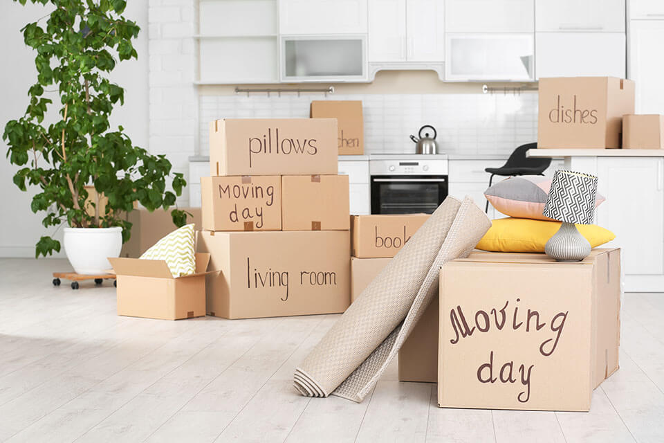 Labeled packages and a plant in the kitchen after a move with a moving company