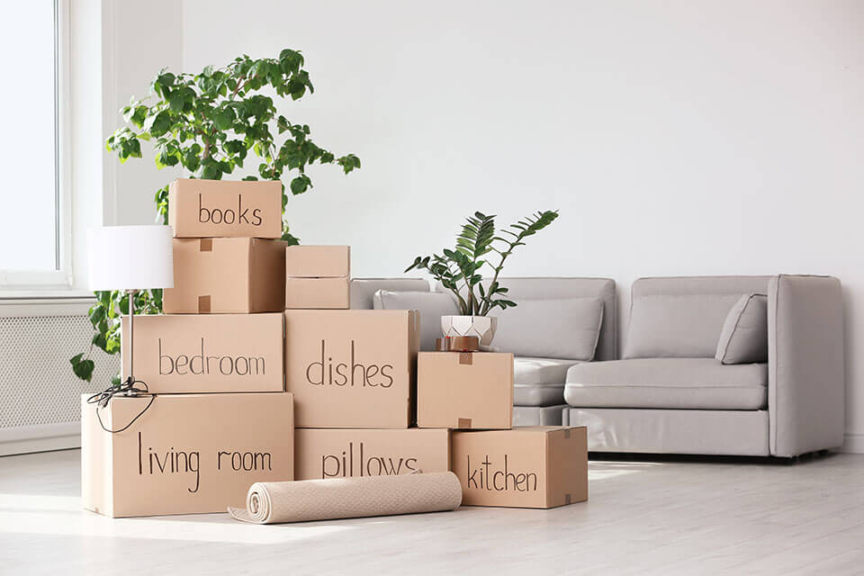 Labeled packages waiting for movers from a moving company, plants, and a grey couch