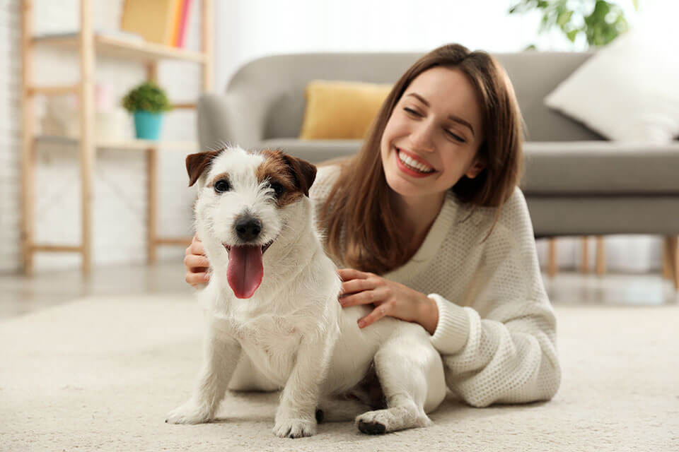 A woman with a canine on the floor, a couch behind them