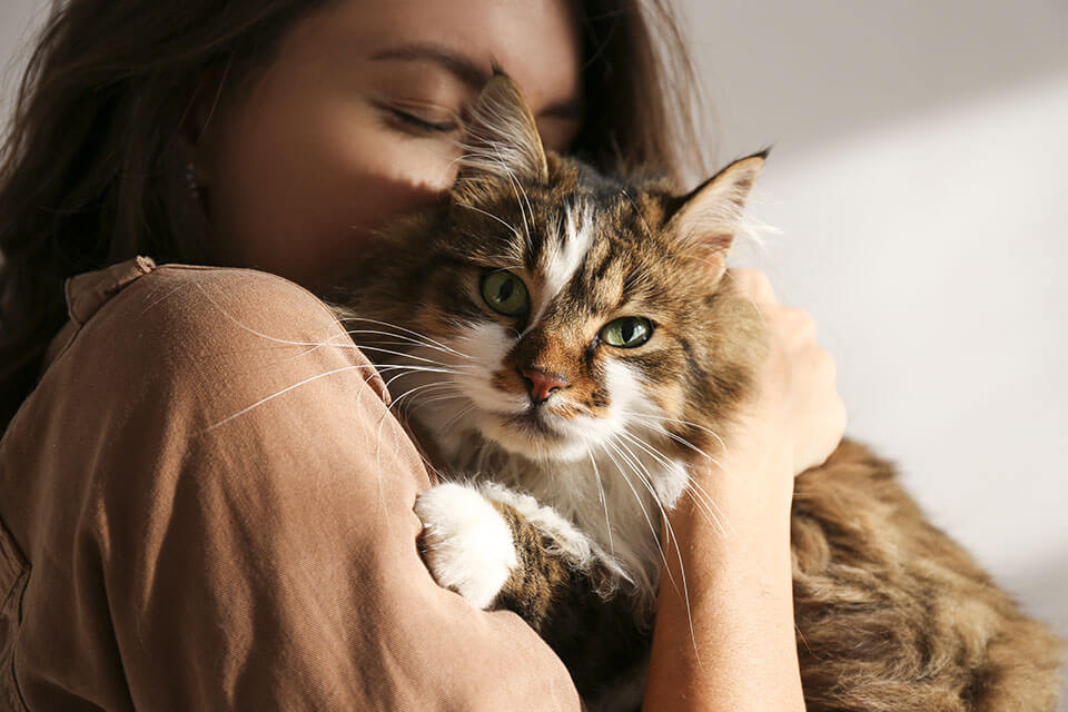 A girl holding her cat in a hug